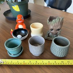 Mini Plant Pots ($12 Each or $65 total)