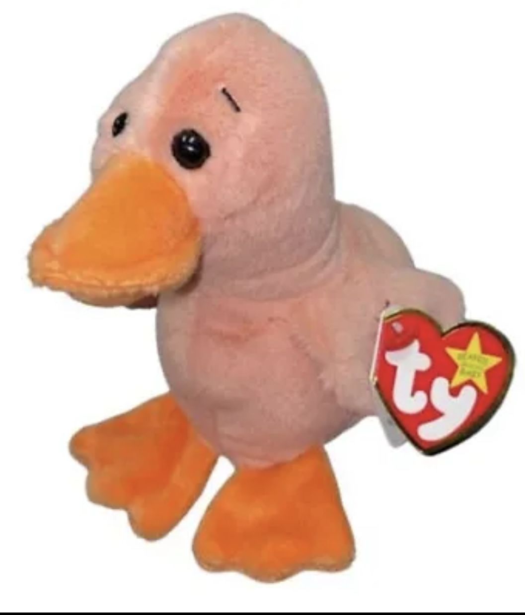 Ty 2024 QUAKER JAX Limited Edition 6” Size Peach Duck With Double Tag/tash Canadian Collection 
