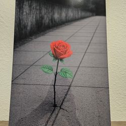 The Rose That Grew Through The Concrete