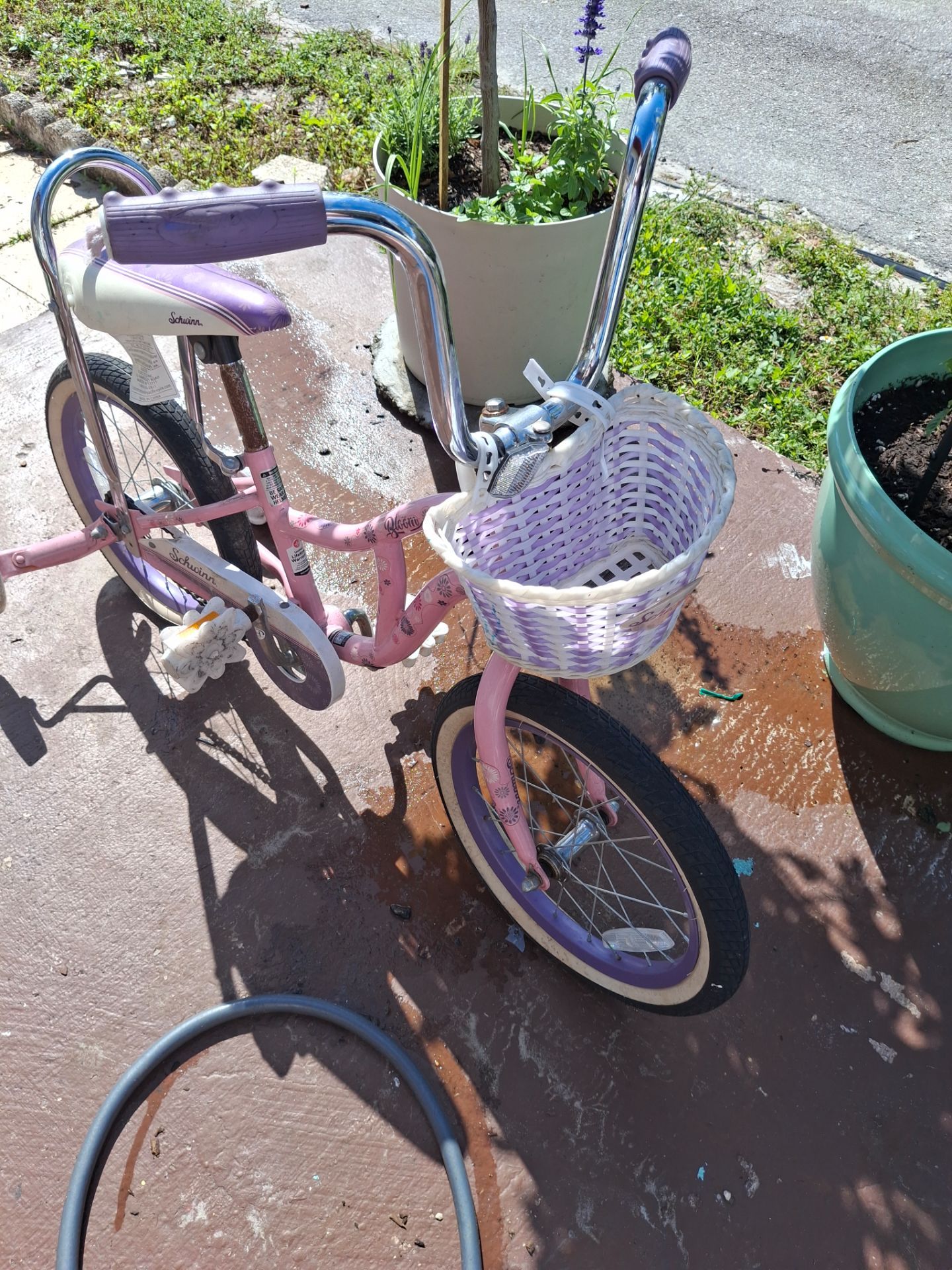 Girl bike