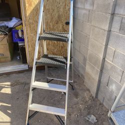 Aluminum Ladder 