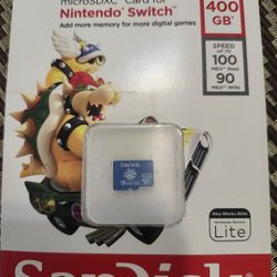Sand Disk 400 Gb Nintendo Switch 