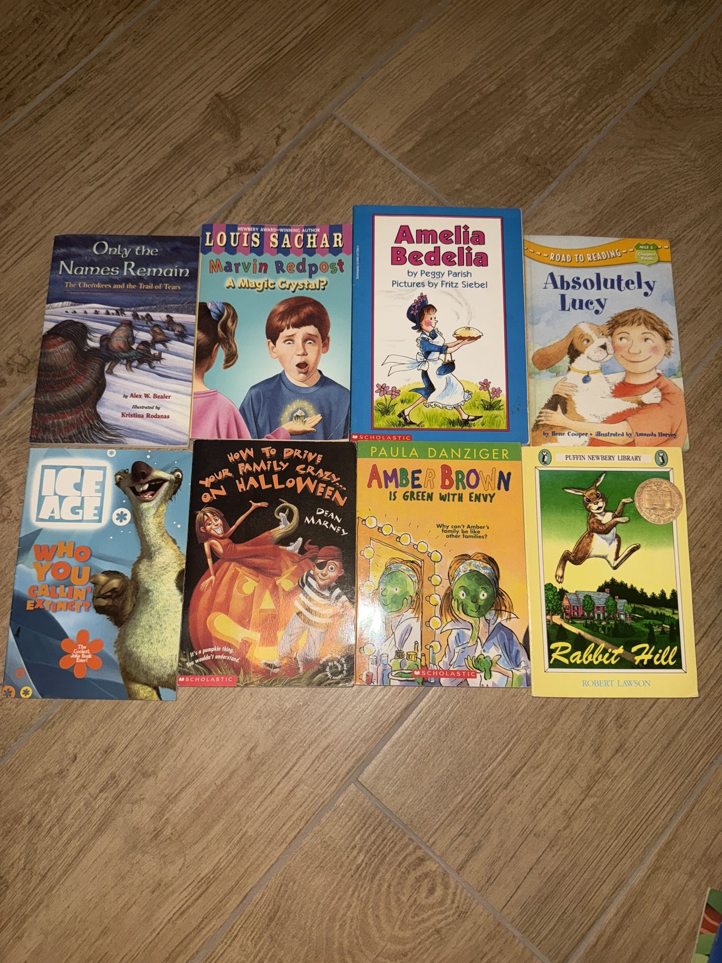 Kid Books:Absolutely Lucy,ice Age, Amelia Bedelia, Rabbit Hill,