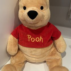 Disney Store Winnie The Pooh Plush  -AVAILABLE 