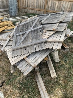 Old cedar