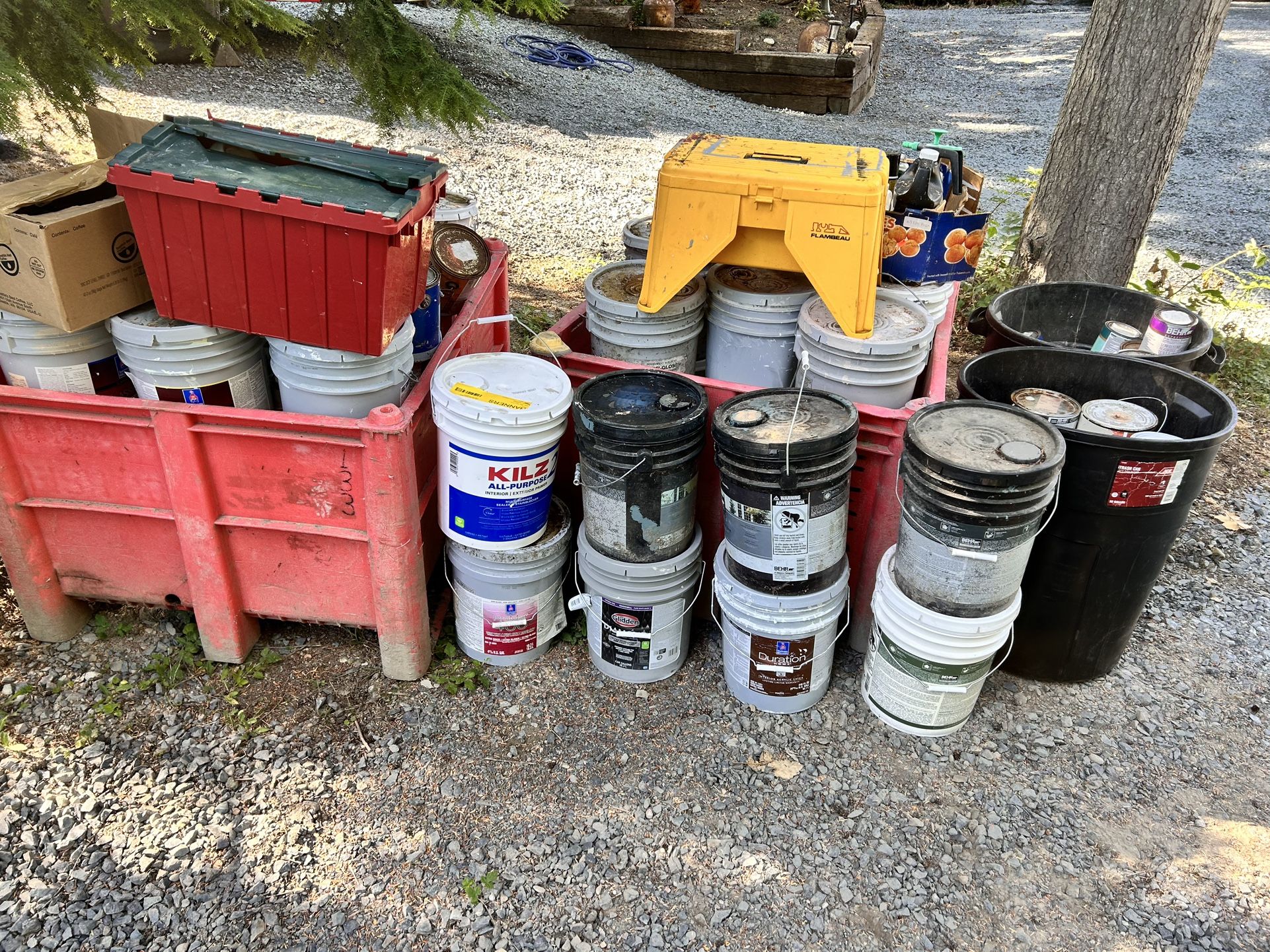 Free Paint