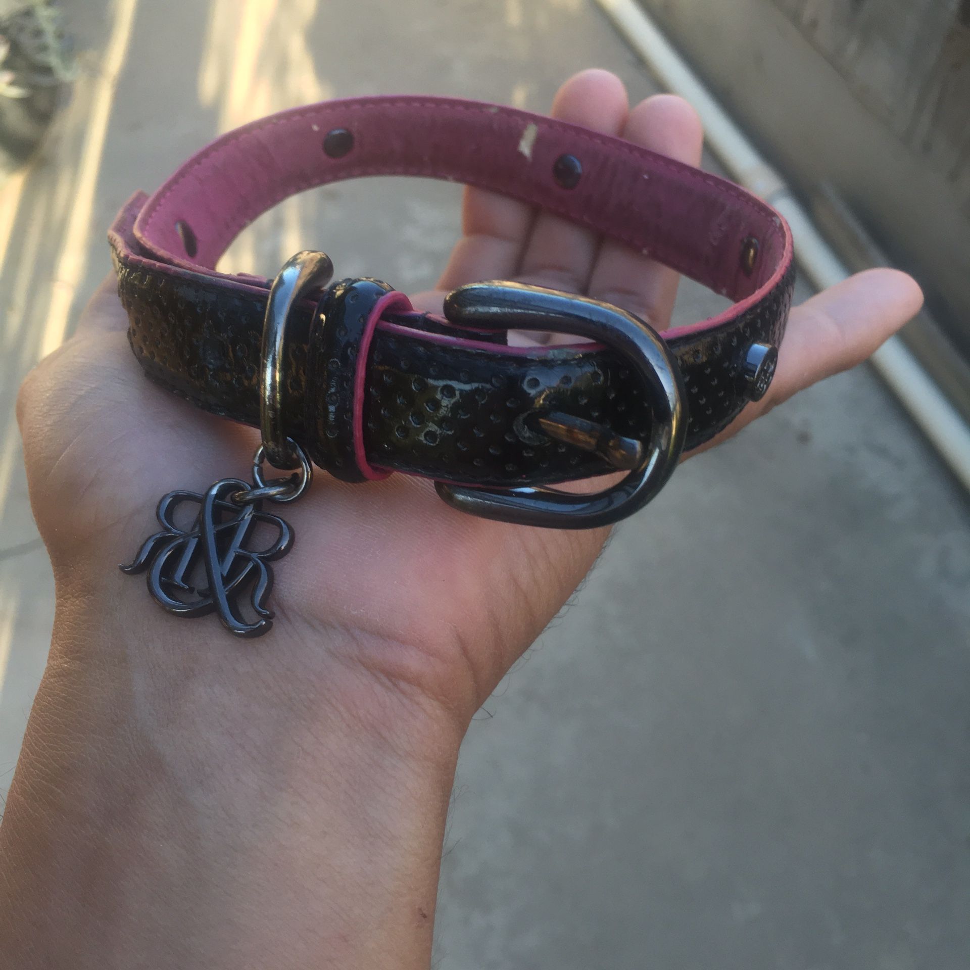 New M/L Leather Designer Dog Collar