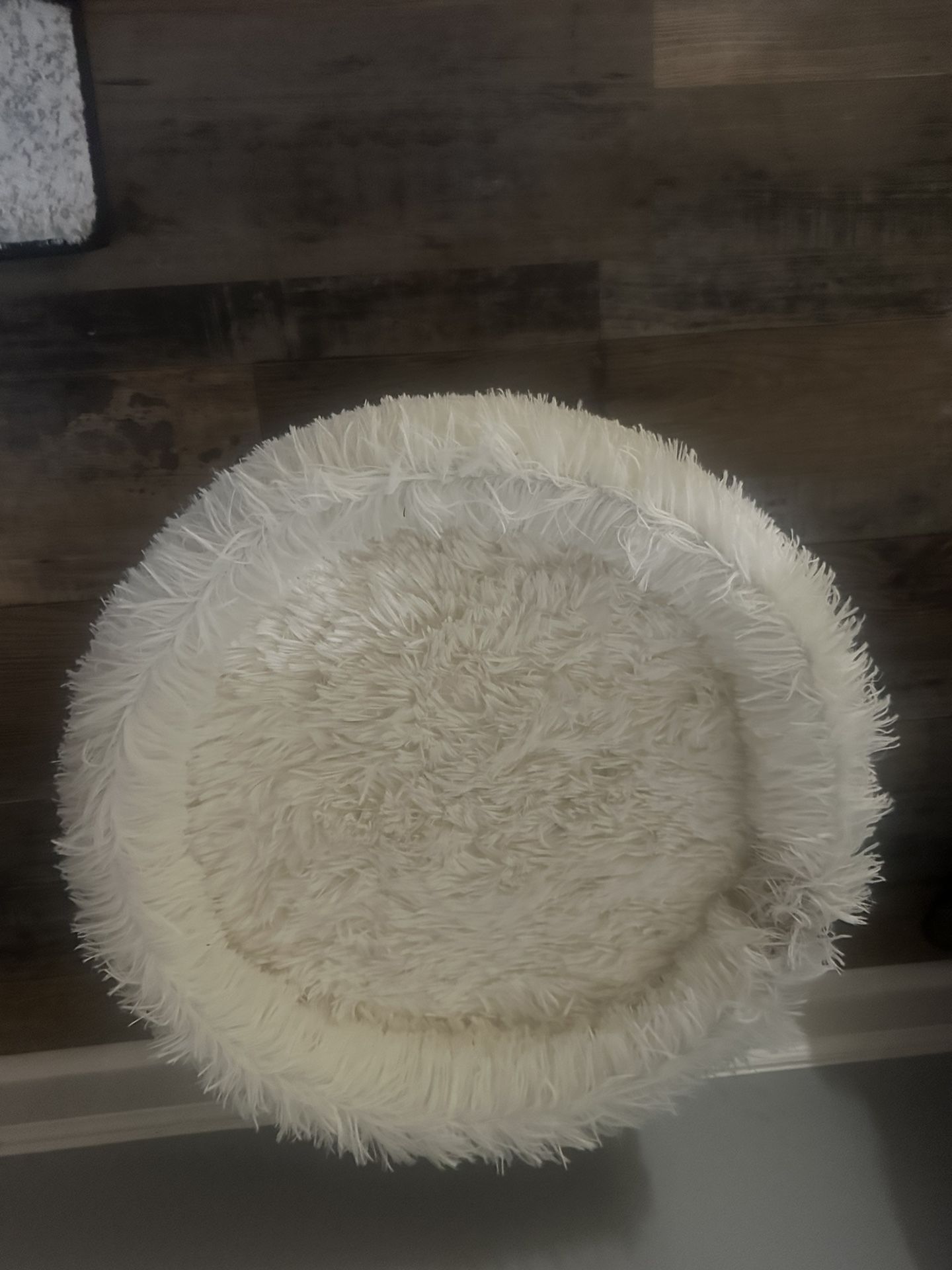 Small Doggy Bed