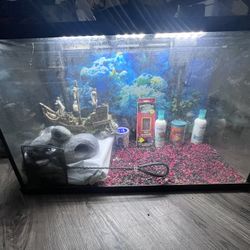 Aquarium set up