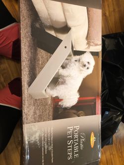 Pet steps