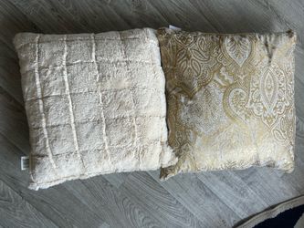 Set of 2 Decorative Cushions