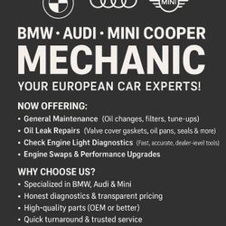 BMW Audi Mini Parts 