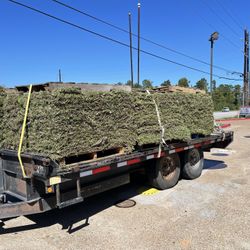 grass sod