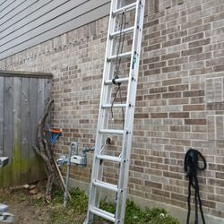 20 Ft Ladder New
