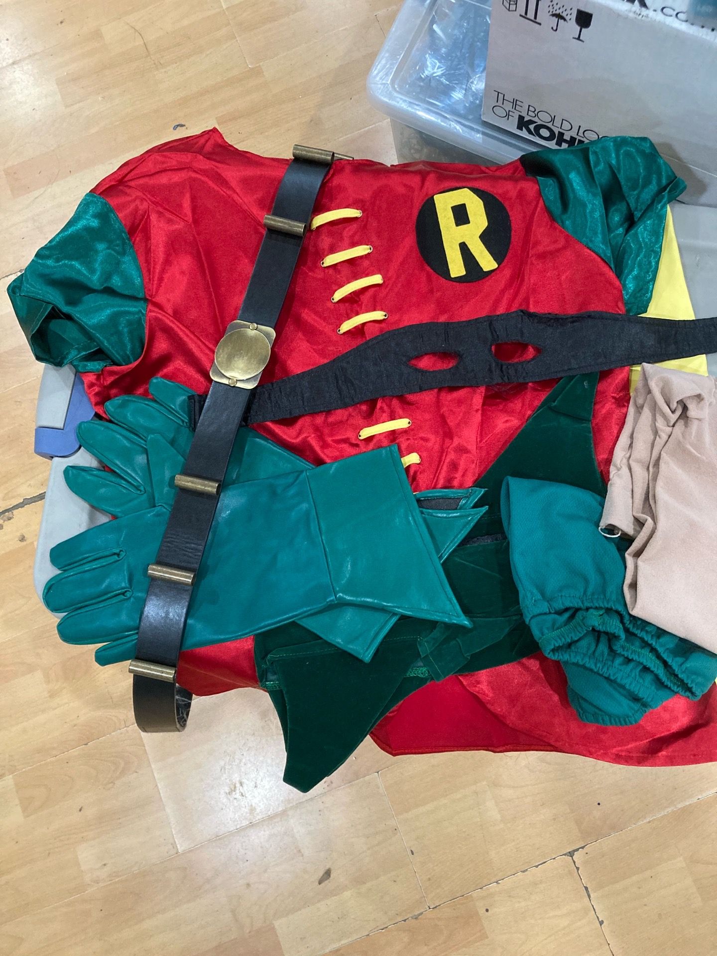 Robin costume
