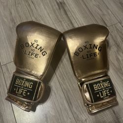 NO BOXING NO LIFE BOXING GLOVES