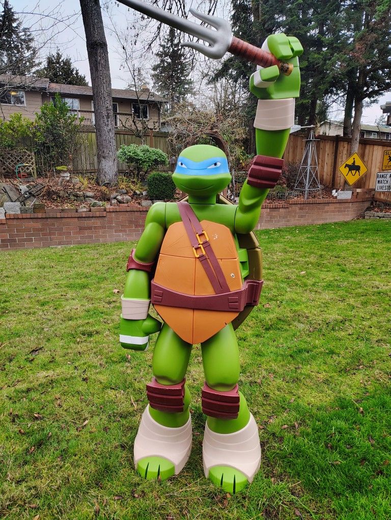 Teenage Mutant Ninja Turtle