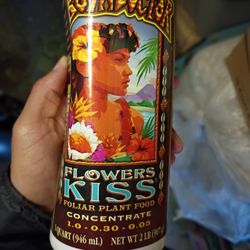 Bush Doctor  Flowers Kiss Qt