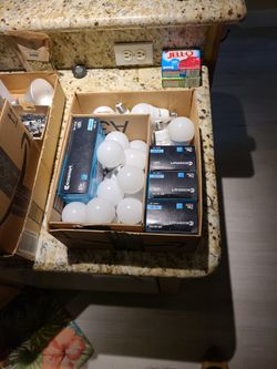 Ecosmart 5000K 9.5 And 13 Watt Light Bulbs