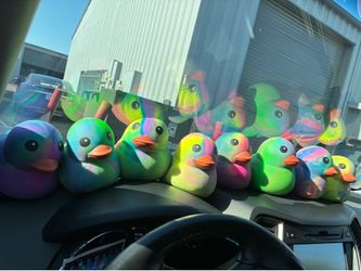 Squeeezy ducks