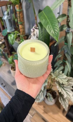 Large Lakeside Pine Candle 