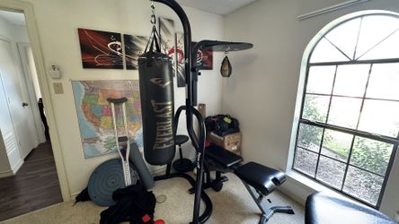 Everlast Boxing Punching Bag + Speed Bag + Stand