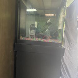 Fish Aquarium  (used)