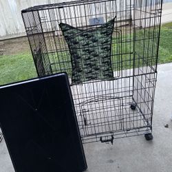 Dog Kennel 