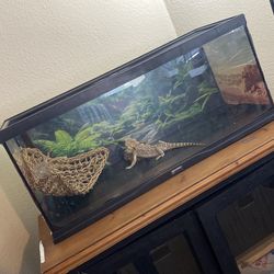 Two cages best offer