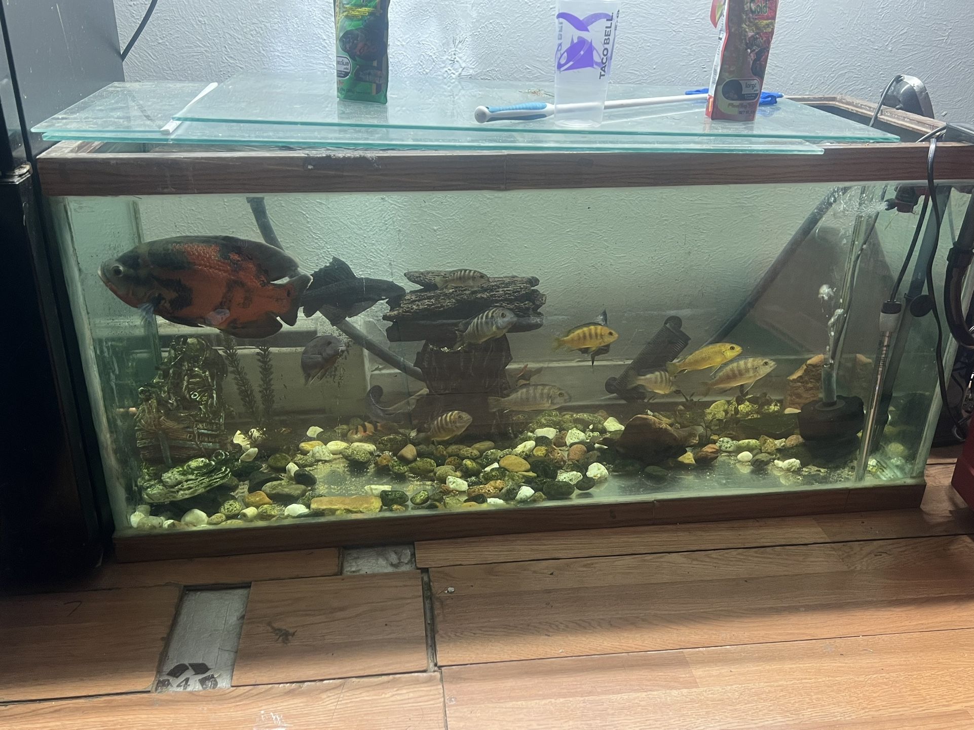 90 Gallon Fish Tank And Accessories