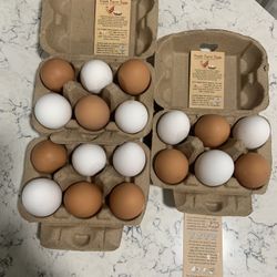 Fresh Eggs 