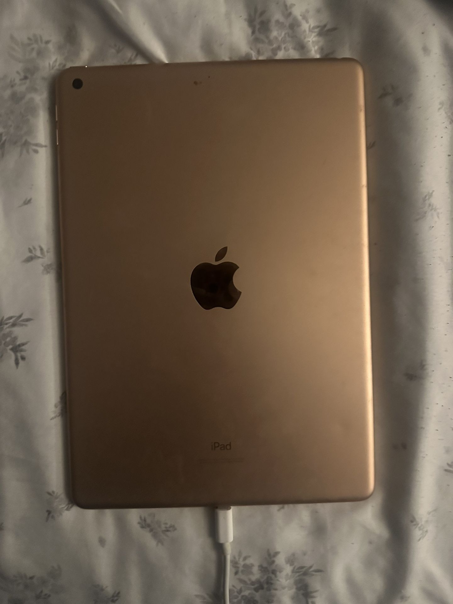 iPad