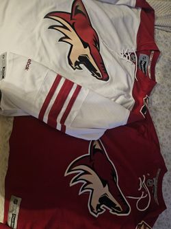 Arizona Coyotes
