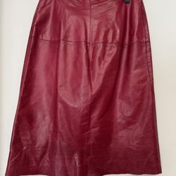 Lather Skirt size 6. Banana Republic 