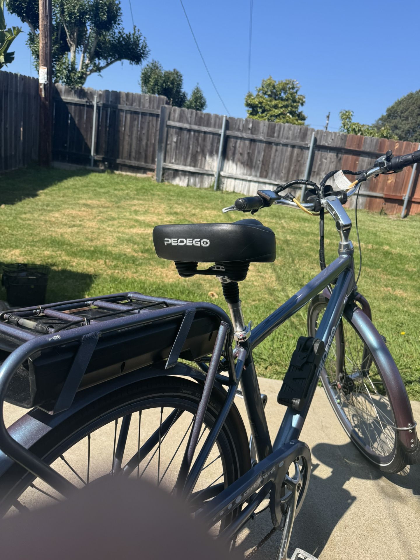 Fun Pedego Electric Bike