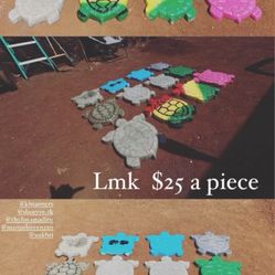 Steeping Stones (turtles)