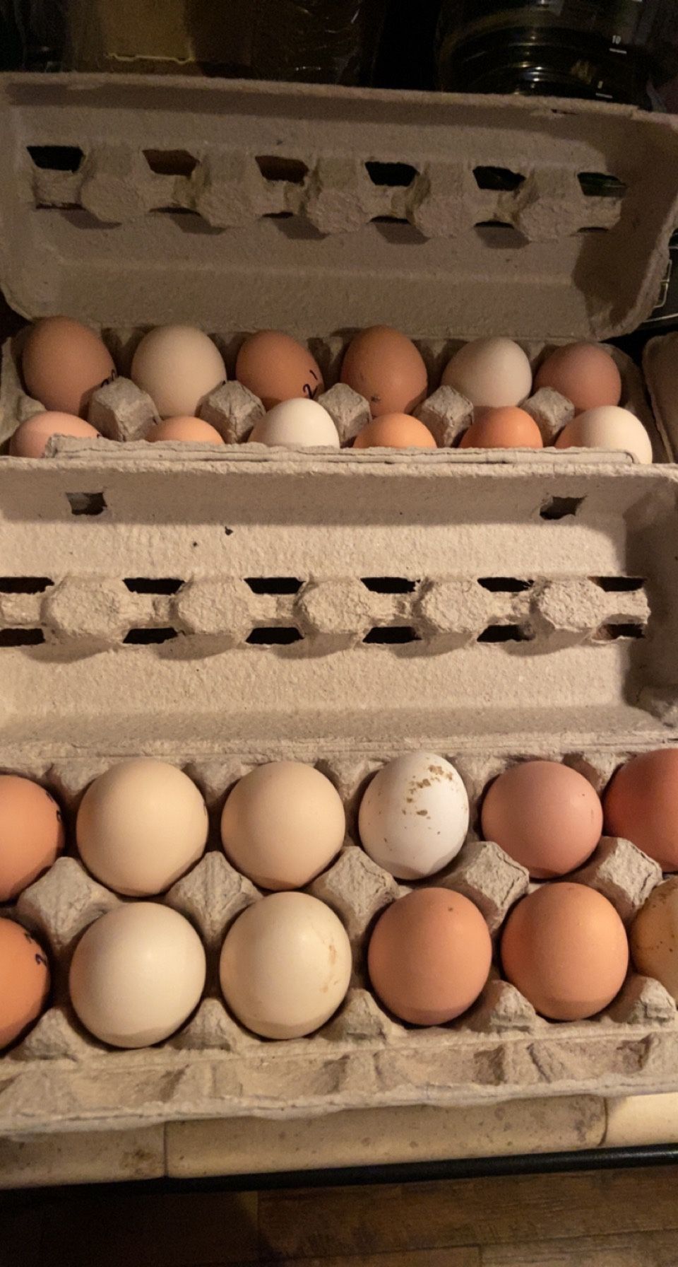 Farm Fresh Eggs 