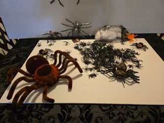 Halloween spiders