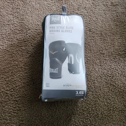 Everlast Boxing Gloves