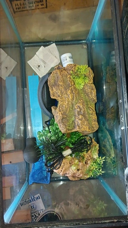 10 gal fish tank and supplies
