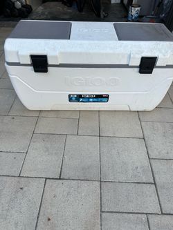 Igloo 165 quart cooler