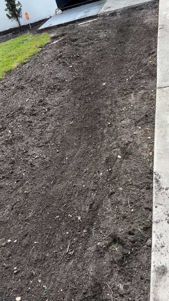 Plants / Mulch 🌳 Planting / Mulching