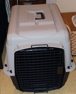 Pet carrier