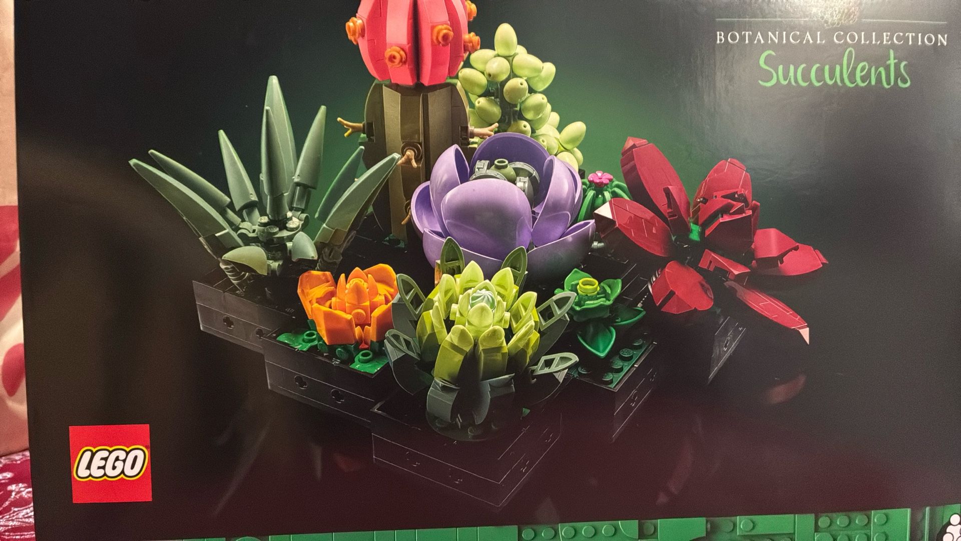 Lego Botanicals Succulents 