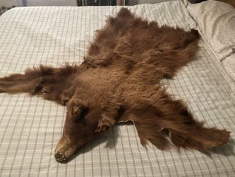 Bear Rug