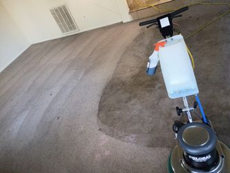 Carpet SHAMPOO Cleaning