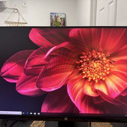 Monitor HP
