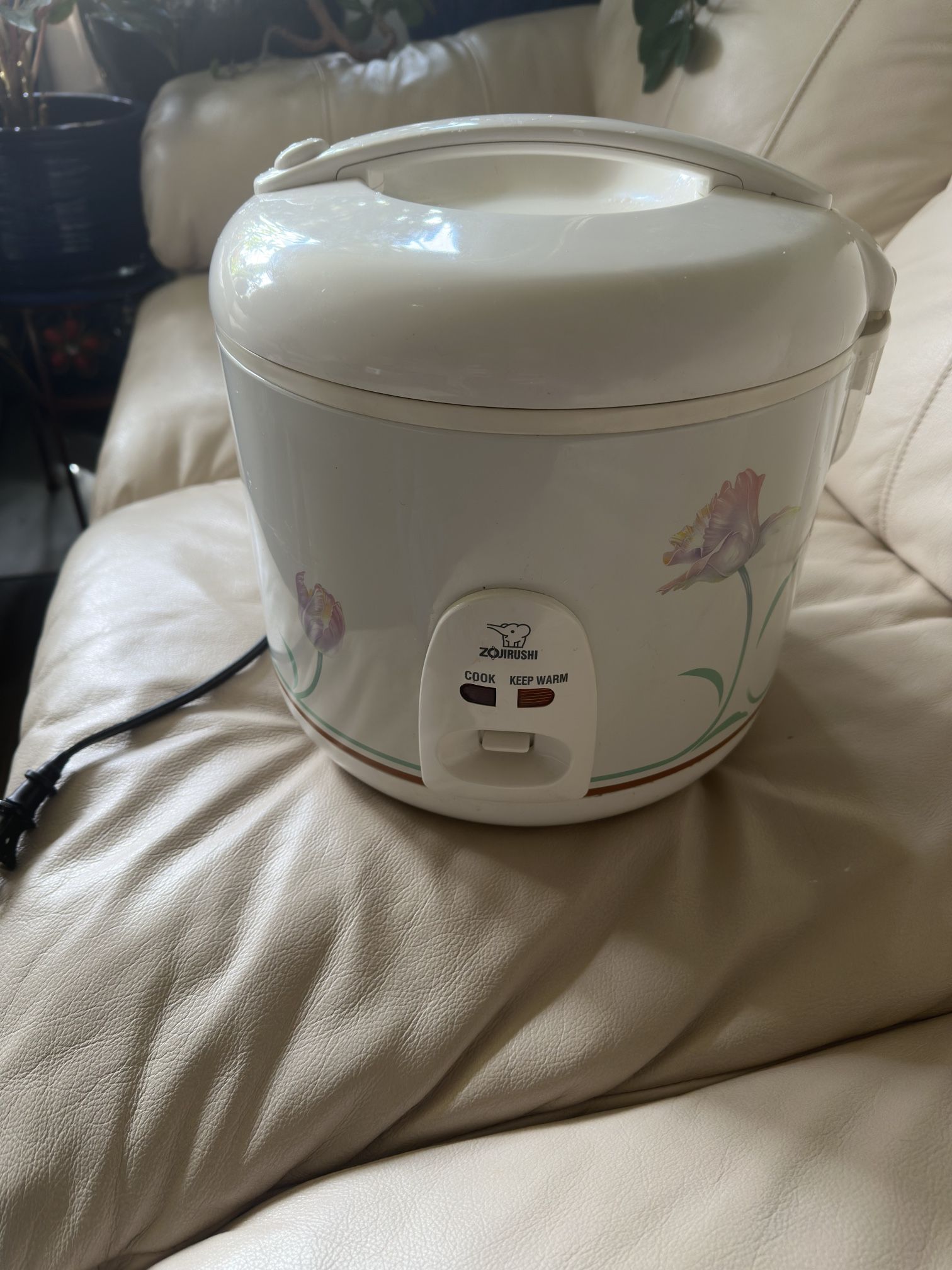 Rice cooker working good $25