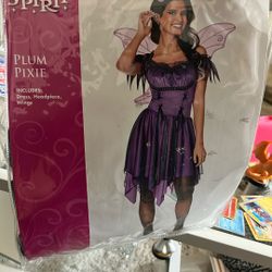 Adult Plum Fairy Costume