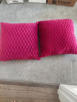 2 Pillows with cover